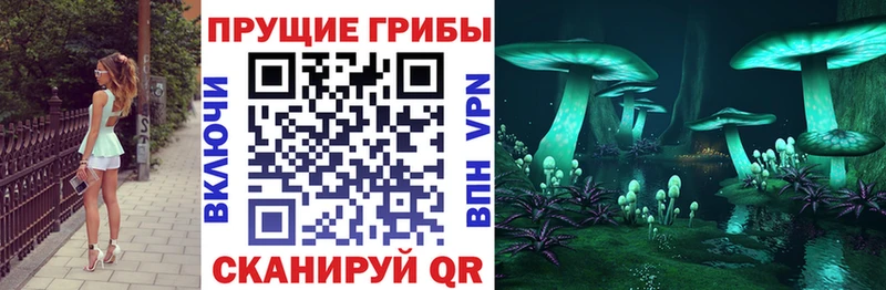Купить закладки  Приморско-Ахтарск  Галлюциногенные грибы мицелий 